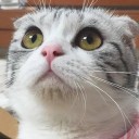 สมาชิกหมายเลข 1341472