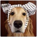 จั๊กก่าปีศาจ