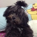 บะหมี่ป้อกป้อก