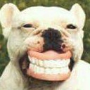 สมาชิกหมายเลข 2545861