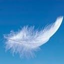 สมาชิกหมายเลข 909750