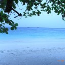 สมาชิกหมายเลข 1532868