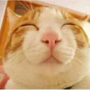 สมาชิกหมายเลข 921532