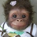 สมาชิกหมายเลข 977293