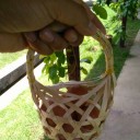 สมาชิกหมายเลข 2225407