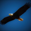 สมาชิกหมายเลข 3394458