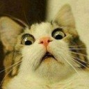 สมาชิกหมายเลข 1308472