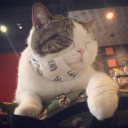 สมาชิกหมายเลข 1831519