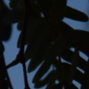 สมาชิกหมายเลข 3396451