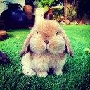 สมาชิกหมายเลข 2154518