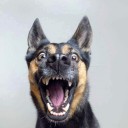 สมาชิกหมายเลข 2949911