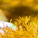 สมาชิกหมายเลข 3397314