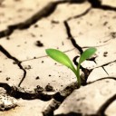 สมาชิกหมายเลข 911615