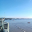 สมาชิกหมายเลข 911661