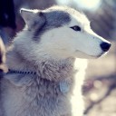 สมาชิกหมายเลข 1740297