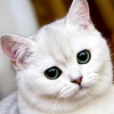 สมาชิกหมายเลข 1641364