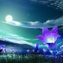 สมาชิกหมายเลข 3397734