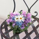 แตงกวากับน้ำชายามบ่าย