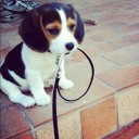 สมาชิกหมายเลข 912058