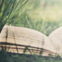 สมาชิกหมายเลข 2155058