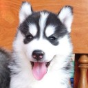 สมาชิกหมายเลข 2952103