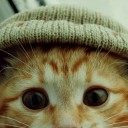 สมาชิกหมายเลข 842640