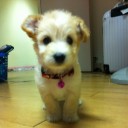 สมาชิกหมายเลข 912217