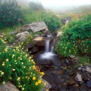 ขาโจ๋หลังวัง