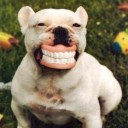 USER นี้ใช้  2 คน พ่อ+ลูก