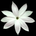 สมาชิกหมายเลข 1631810