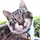 สมาชิกหมายเลข 2155825