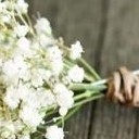 สมาชิกหมายเลข 1270579