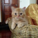 สมาชิกหมายเลข 913094