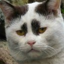 สมาชิกหมายเลข 913115