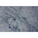 ฉันคนเดียวที่รู้