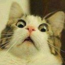 สมาชิกหมายเลข 1742036