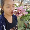 สมาชิกหมายเลข 2953444