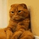 พักกันสักวันค่อยกลับมา