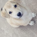 สมาชิกหมายเลข 912425