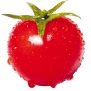 สมาชิกหมายเลข 913452