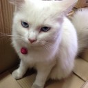 สมาชิกหมายเลข 1205664