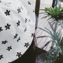 สมาชิกหมายเลข 2550368