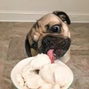 สมาชิกหมายเลข 2953717