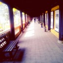 สมาชิกหมายเลข 811227