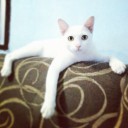 สมาชิกหมายเลข 2658844