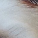 สมาชิกหมายเลข 2783398