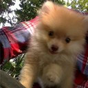 สมาชิกหมายเลข 876800