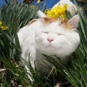 สมาชิกหมายเลข 914352