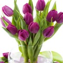 สมาชิกหมายเลข 1740988