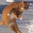 สมาชิกหมายเลข 753527